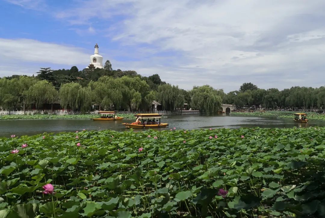 ■收藏！“五一”期间，北京开放的景区都在这里