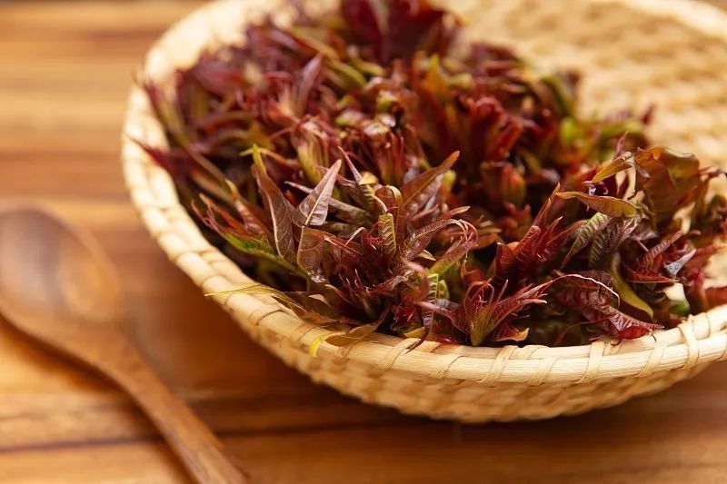 「香椿」吃香椿致癌?这类洗发水致脱发?拒绝这些四月新谣言