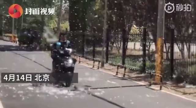 香椿■别信！这些持续刷屏朋友圈的新闻都是谣言