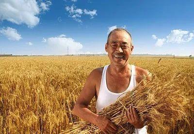 香椿■别信！这些持续刷屏朋友圈的新闻都是谣言