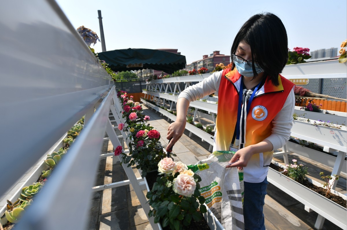 垃圾分类：北京这社区种出一片“屋顶花园”！厨余垃圾就地利用