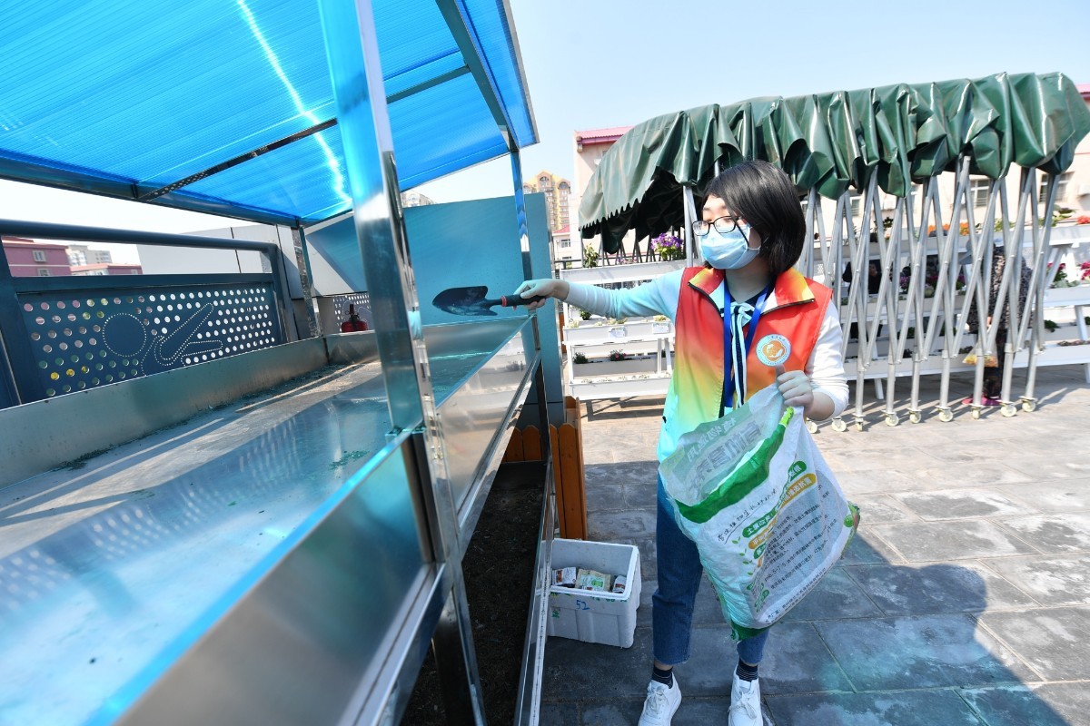 垃圾分类：北京这社区种出一片“屋顶花园”！厨余垃圾就地利用