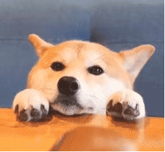 气温达到■气温飙升！这个“五一”有多热，做好心理准备……