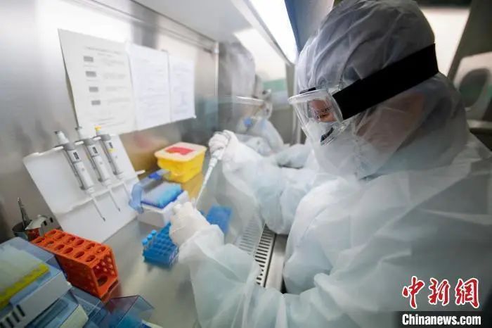 『传染病』新冠病毒是人造的？权威专家回应