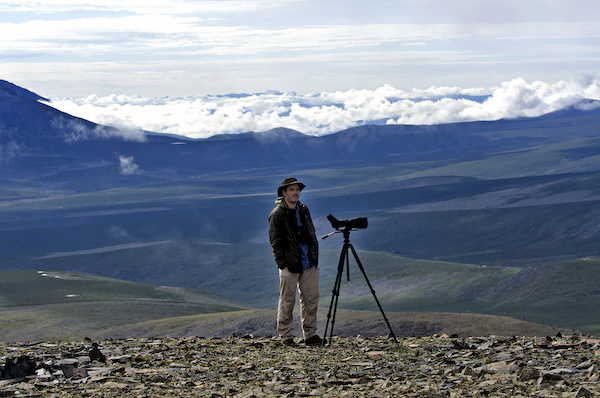 「候鸟」一个英国人在北京的观鸟十年