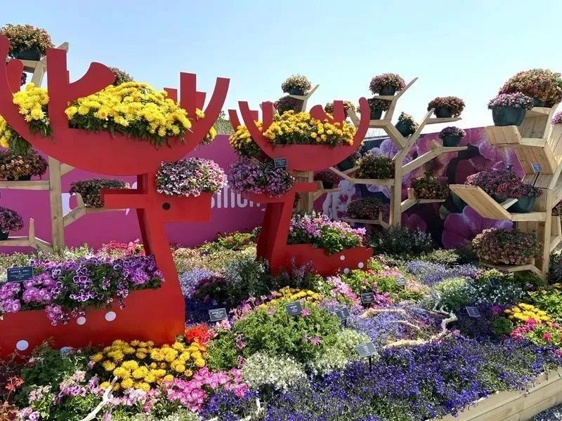 『世园会』永不落幕！北京世园会园区更名为北京世园公园