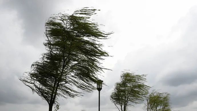 台风▲台风生成？五一假期要“泡汤”？官方：假到翻白眼