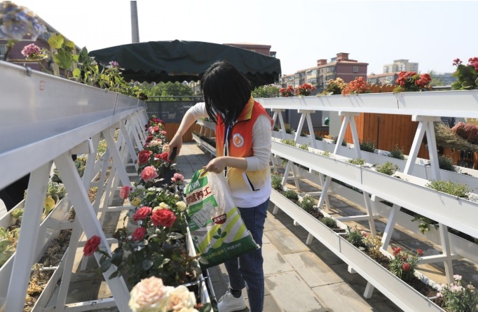 『厨余垃圾』北京版“你是什么垃圾”五一来袭 这20个必考点请背熟