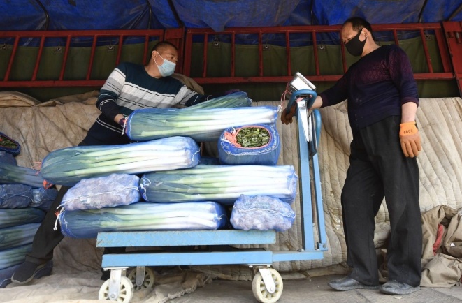 『厨余垃圾』北京版“你是什么垃圾”五一来袭 这20个必考点请背熟