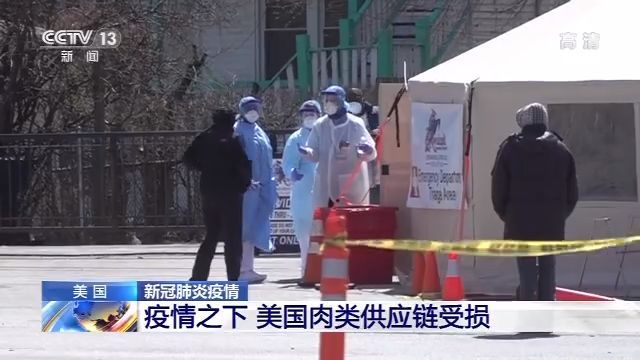 『疫情』每卖一头猪亏本50美元 疫情之下美国肉类供应链受损