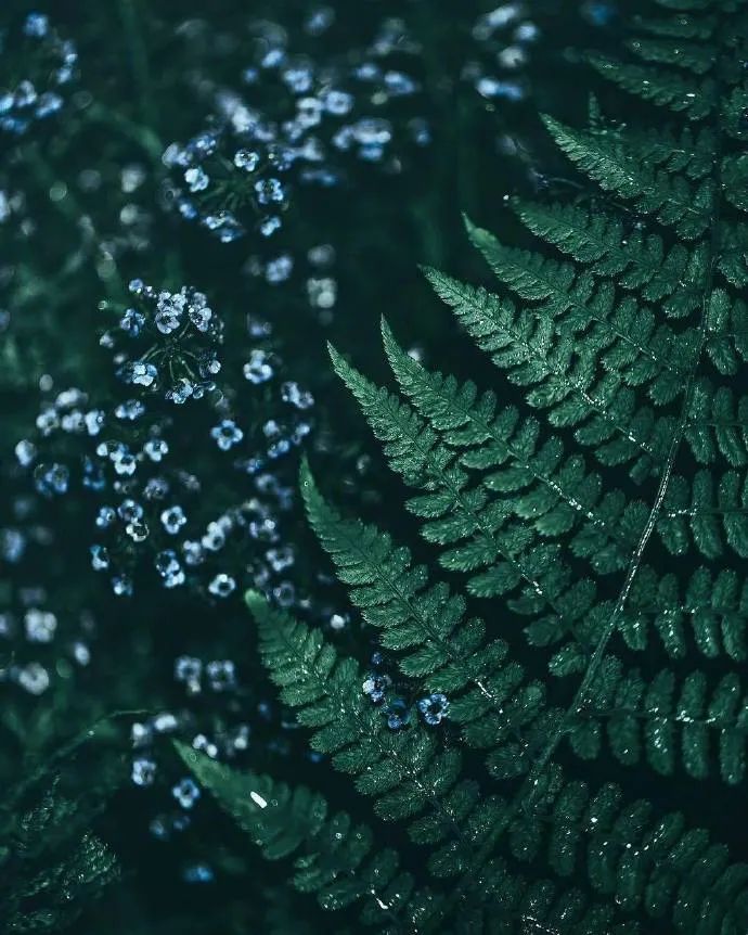 『』夜读 | 你好，五月