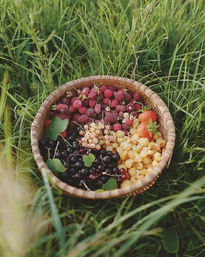 『』夜读 | 你好，五月