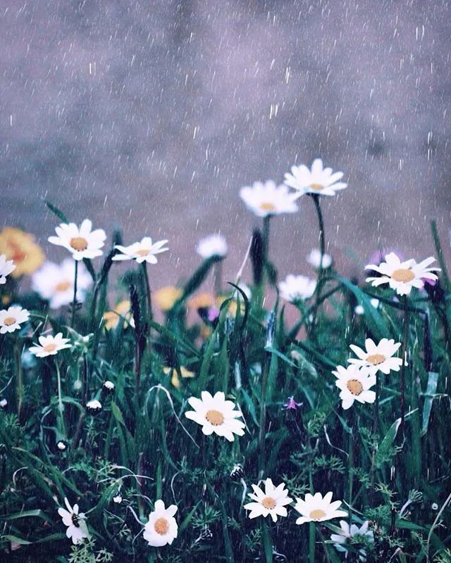 『』夜读 | 你好，五月