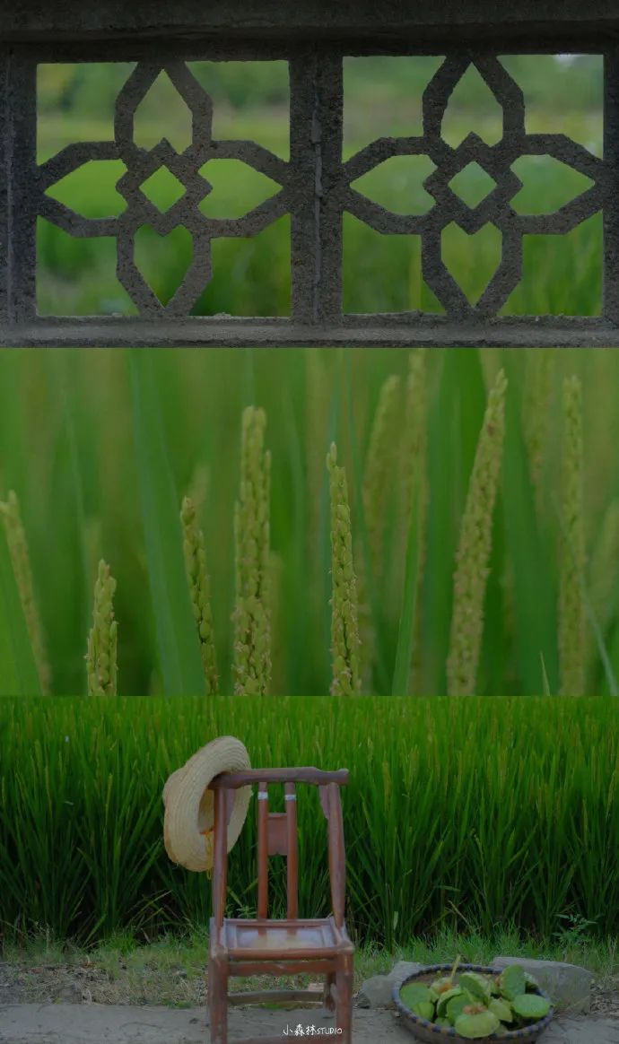 『』夜读 | 你好，五月