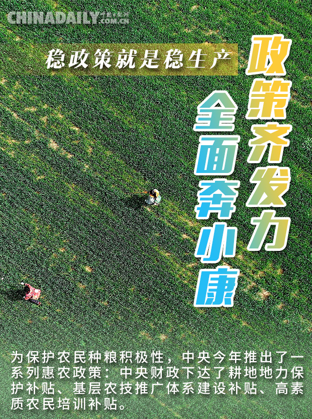 []海报 | 八方携手齐发力 中国饭碗端的牢！