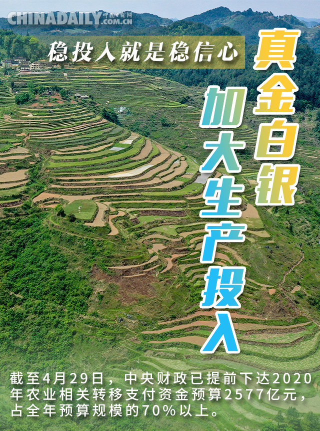 []海报 | 八方携手齐发力 中国饭碗端的牢！