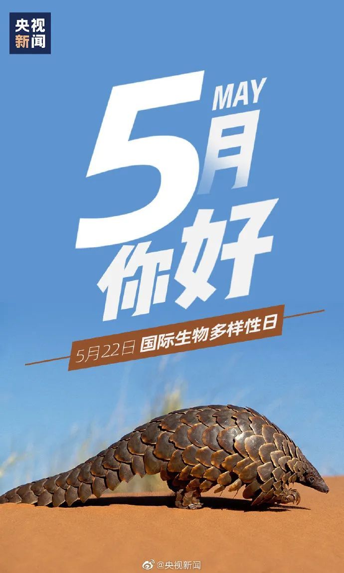 『财经』2020已经过完1/3，用4个字总结一下吧→