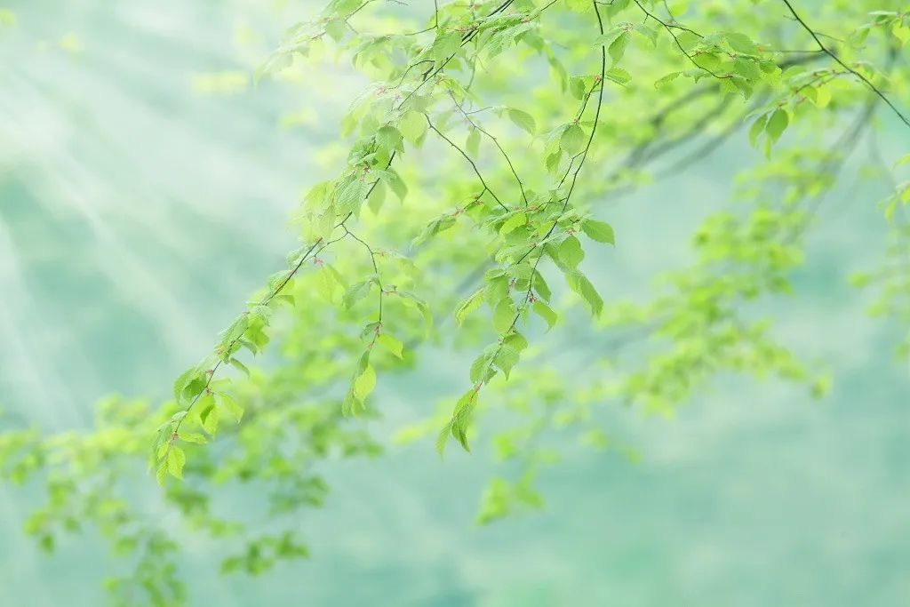 「跑步」夜话丨五月，致敬每一个努力向前奔跑的人