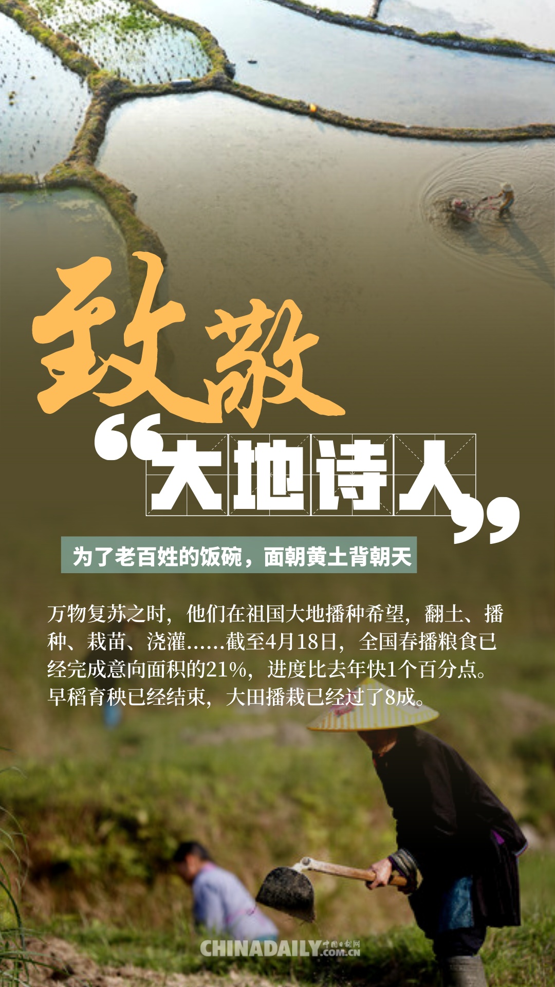 ■海报 ▏致敬劳动者：用肩膀撑起责任 用平凡创造奇迹