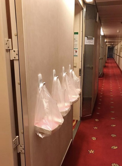 『肺炎』?新加坡将两邮轮作为宿舍安置新冠肺炎痊愈外籍工人