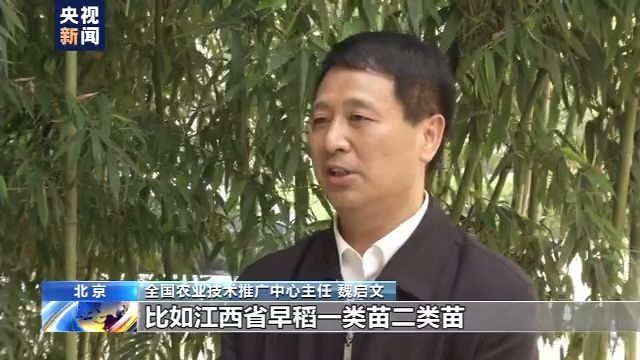 『粮食安全』我国早稻播插接近尾声 智能装备、投入资金等多措施力保国家粮食安全