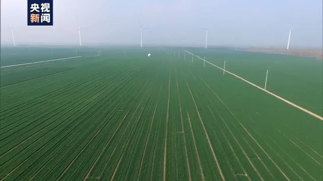 『粮食安全』我国早稻播插接近尾声 智能装备、投入资金等多措施力保国家粮食安全