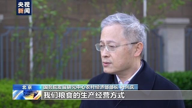 『粮食安全』我国早稻播插接近尾声 智能装备、投入资金等多措施力保国家粮食安全