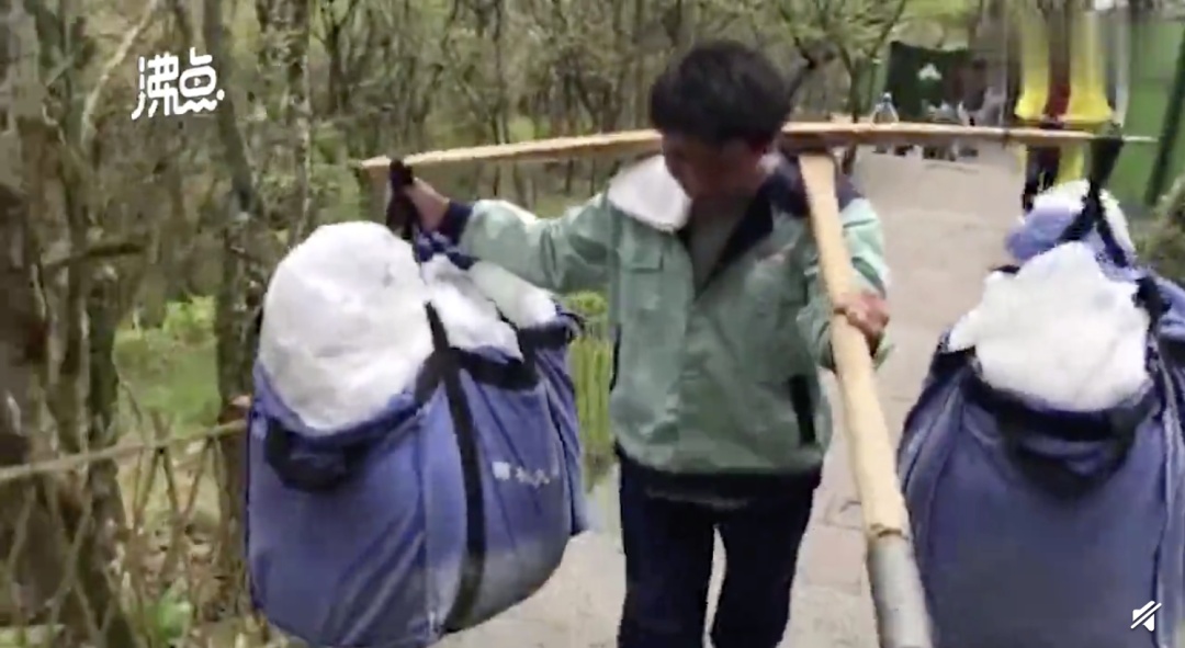 「旅游产业」泰山开启“人从众”模式……其他景区呢？