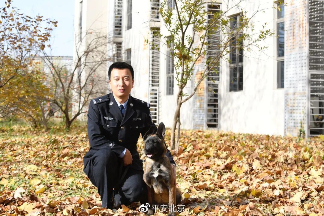 警犬▲警队中的特殊“白衣天使”