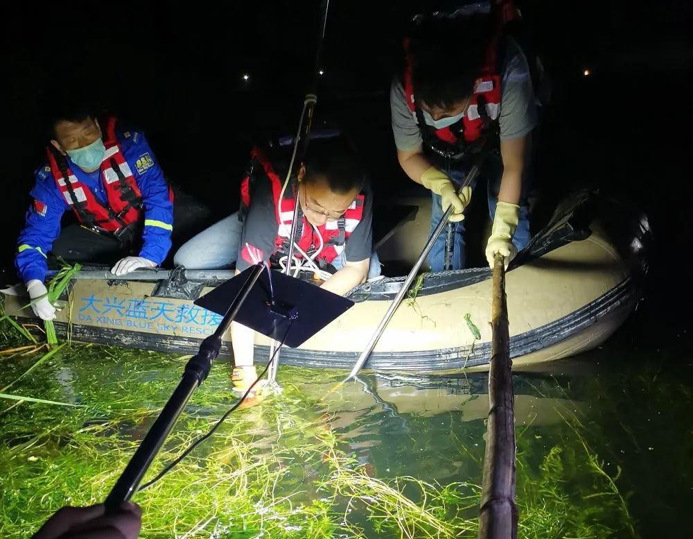 北京日报@为掏鸟蛋落水?大兴一老人不幸溺亡