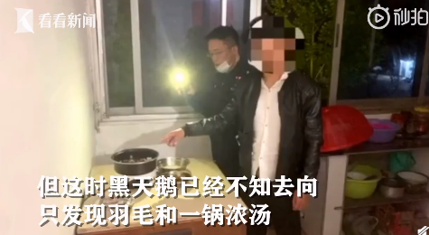 「」每经19点 | 男子打晕网红黑天鹅回家炖汤:它啄我;人民锐评:蓬佩奥和班农,真是一对撒谎成性的活宝