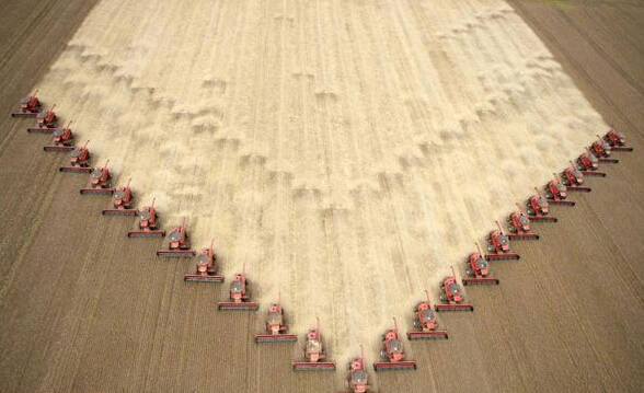 #第一世界#“世界第一大豆出口国”有信心稳定对华出口