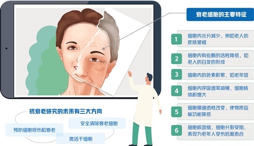 科学▲老而不衰？梦想或将照进现实