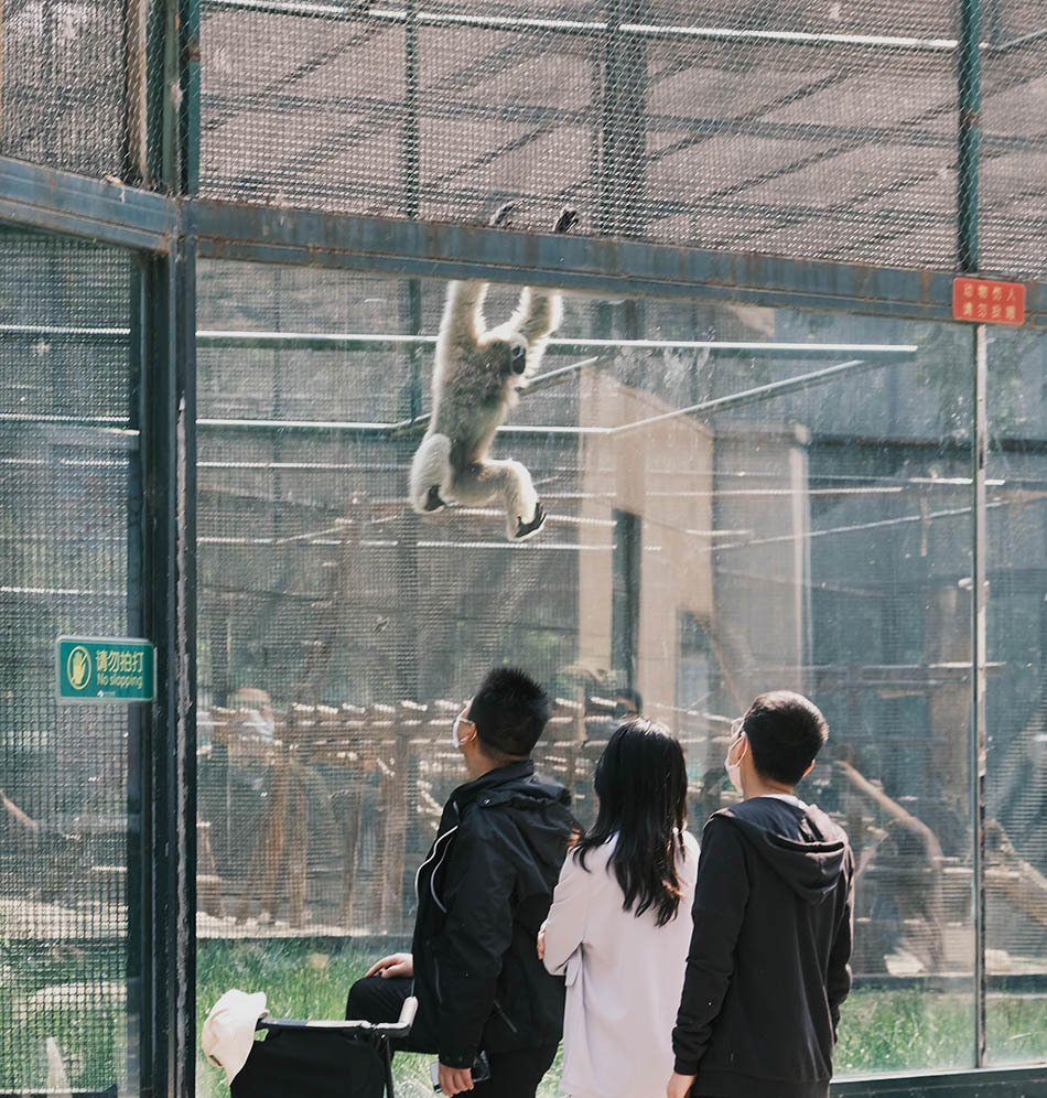 『澎湃新闻』中国一周图片精选|第3期(4月27日-5月3日)