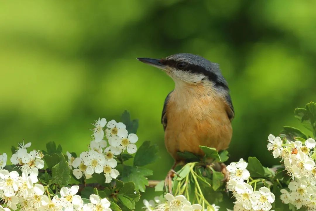 「全国妇联」今日立夏 | 终于等到你,激情昂扬的夏天!