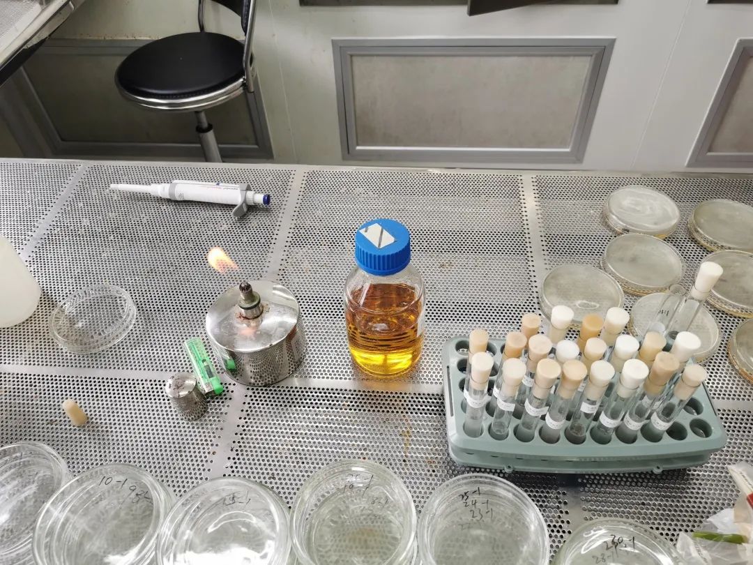 #张文宏#6道菜，疾控专家盯了整整40分钟！只因张文宏一个灵魂拷问