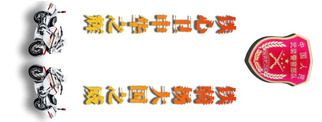 『武警』不只是帅！武警国宾护卫队高清大图太养眼！