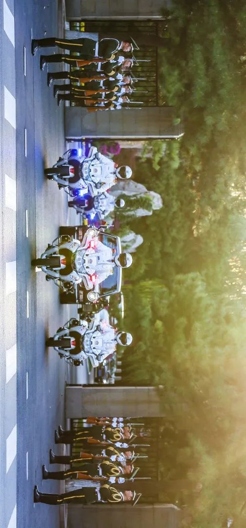 『武警』不只是帅！武警国宾护卫队高清大图太养眼！