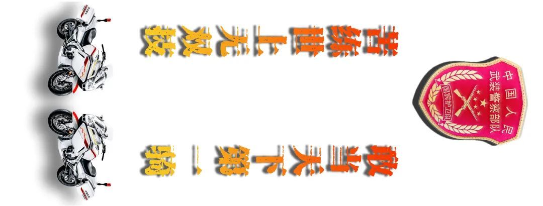 『武警』不只是帅！武警国宾护卫队高清大图太养眼！