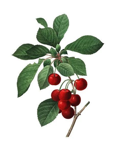 #立夏#迎接夏天，你准备好了吗？