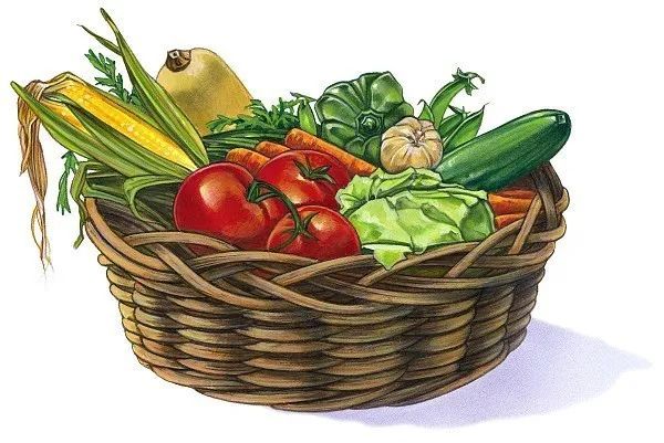 #立夏#迎接夏天，你准备好了吗？