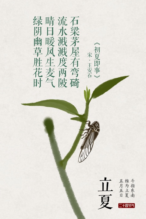 【立夏】立夏丨绿树阴浓夏日长，楼台倒影入池塘