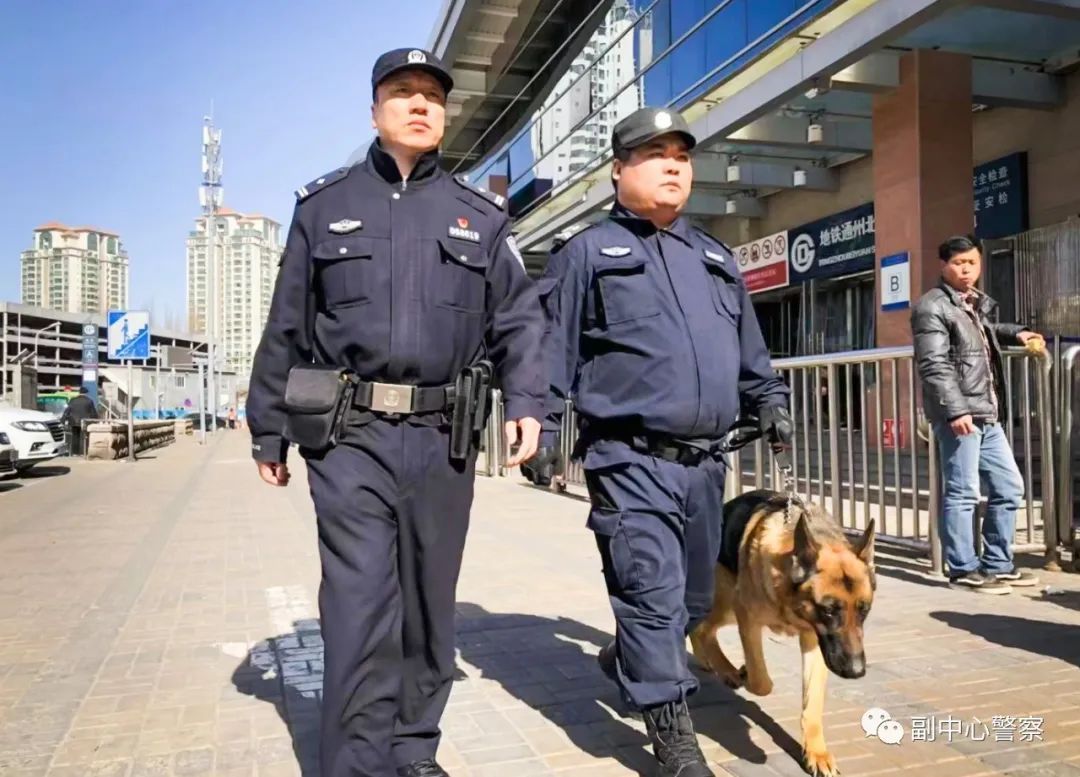 警犬当“汪星人”加入警队后……