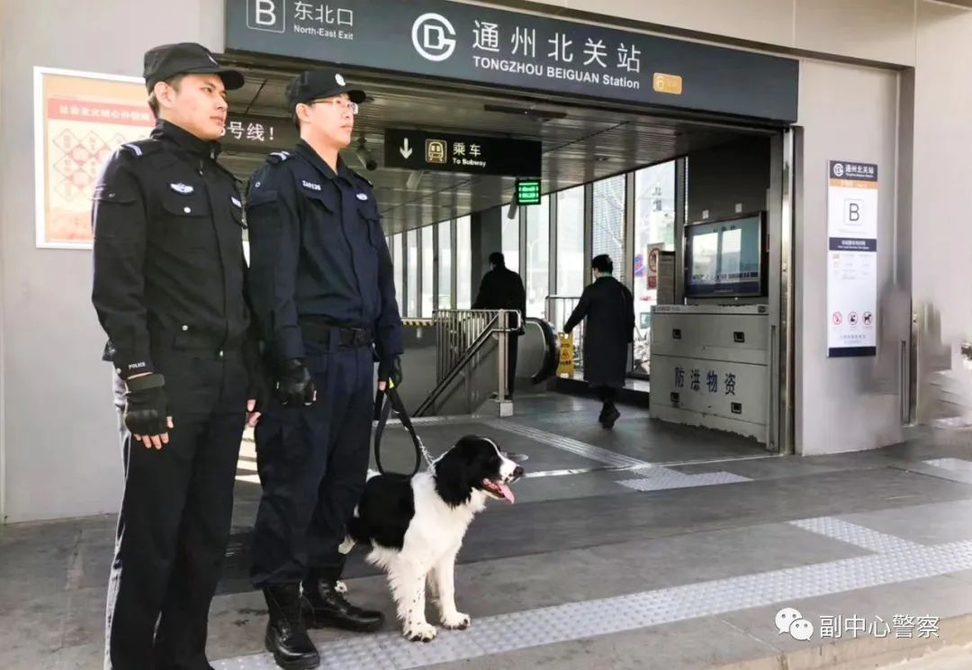 警犬当“汪星人”加入警队后……