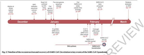 「基因合成」《自然》：欧洲根据已知基因序列合成新冠病毒，助力疫苗开发