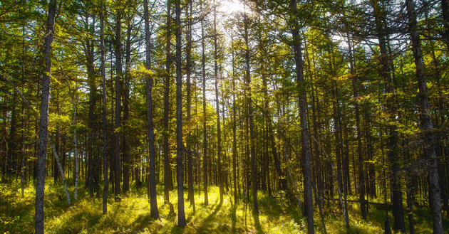 经济4月份全国各种自然灾害造成直接经济损失102.1亿元：以气象和水旱灾害为主