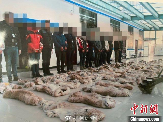 野生动物最高法：涉野生动物保护等犯罪追究购买者刑责