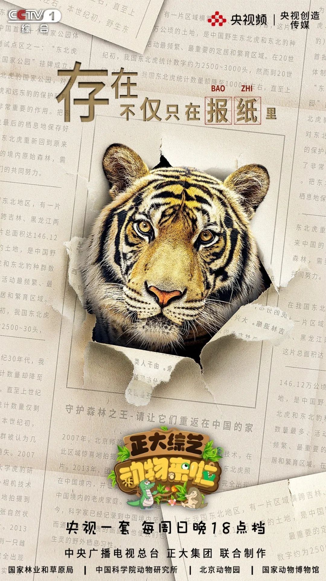 穿山甲世界微笑日丨愿世界同“微笑”，共筑美好家园