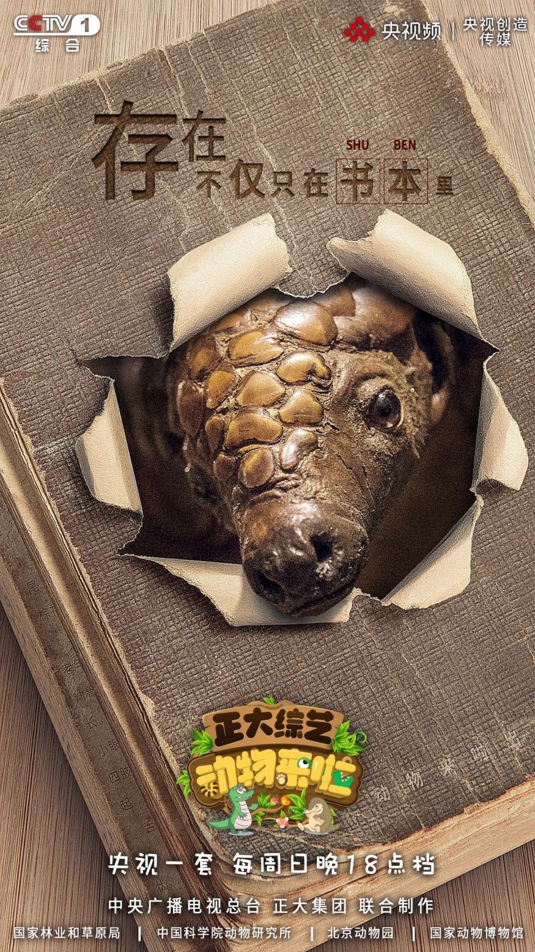 穿山甲世界微笑日丨愿世界同“微笑”，共筑美好家园