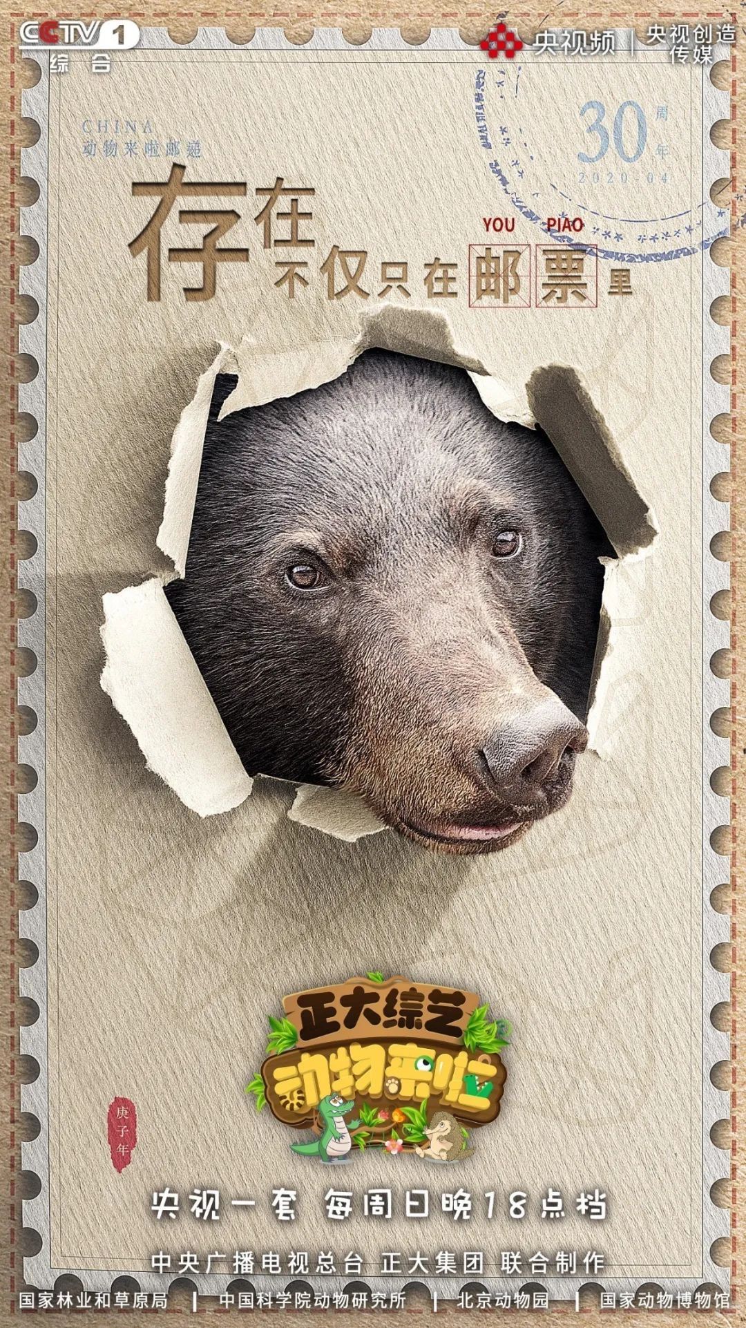 穿山甲世界微笑日丨愿世界同“微笑”，共筑美好家园